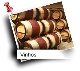 Vinhos